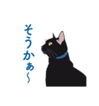 黒猫たちがくれた言葉（個別スタンプ：16）