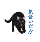 黒猫たちがくれた言葉（個別スタンプ：17）