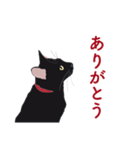 黒猫たちがくれた言葉（個別スタンプ：18）