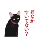 黒猫たちがくれた言葉（個別スタンプ：20）