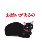 黒猫たちがくれた言葉（個別スタンプ：21）