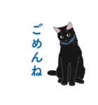 黒猫たちがくれた言葉（個別スタンプ：22）