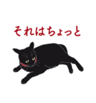 黒猫たちがくれた言葉（個別スタンプ：23）