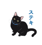 黒猫たちがくれた言葉（個別スタンプ：24）