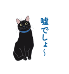 黒猫たちがくれた言葉（個別スタンプ：25）