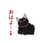 黒猫たちがくれた言葉（個別スタンプ：26）