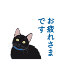 黒猫たちがくれた言葉（個別スタンプ：27）