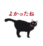 黒猫たちがくれた言葉（個別スタンプ：28）