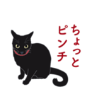 黒猫たちがくれた言葉（個別スタンプ：29）