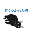 黒猫たちがくれた言葉（個別スタンプ：30）