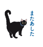 黒猫たちがくれた言葉（個別スタンプ：32）