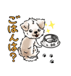 ふわふわんこのスタンプ（個別スタンプ：11）