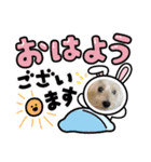 ご挨拶cocoちゃん（個別スタンプ：5）