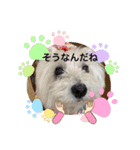 ご挨拶cocoちゃん（個別スタンプ：15）