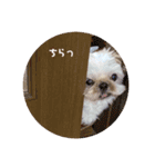 シーズーずんだの日常会話用スタンプ（個別スタンプ：4）