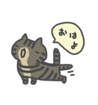 ねこばかり（きほん）（個別スタンプ：1）