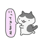 ねこばかり（きほん）（個別スタンプ：5）