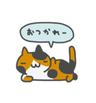 ねこばかり（きほん）（個別スタンプ：25）