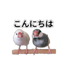 こむぎ と おそば（個別スタンプ：2）