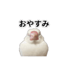こむぎ と おそば（個別スタンプ：3）