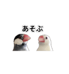 こむぎ と おそば（個別スタンプ：7）