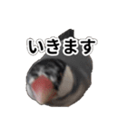 こむぎ と おそば（個別スタンプ：17）