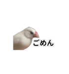 こむぎ と おそば（個別スタンプ：19）