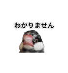 こむぎ と おそば（個別スタンプ：21）