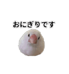 こむぎ と おそば（個別スタンプ：24）