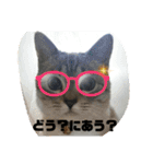あさり▪しじみ▪チロル（個別スタンプ：2）