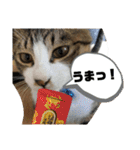 あさり▪しじみ▪チロル（個別スタンプ：8）