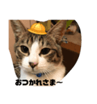あさり▪しじみ▪チロル（個別スタンプ：18）