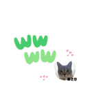 あさり▪しじみ▪チロル（個別スタンプ：22）