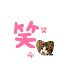 あさり▪しじみ▪チロル（個別スタンプ：24）