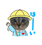 あさり▪しじみ▪チロル（個別スタンプ：33）