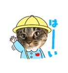 あさり▪しじみ▪チロル（個別スタンプ：34）