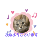 くぅねこ2（個別スタンプ：2）