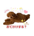 くうのスタンプ2.（個別スタンプ：5）