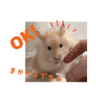 今日もかわいいすもまるちゃん（個別スタンプ：2）