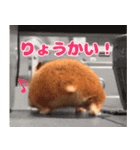 今日もかわいいすもまるちゃん（個別スタンプ：5）
