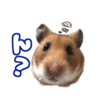 今日もかわいいすもまるちゃん（個別スタンプ：6）