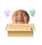 蓮ちゃんスリー（個別スタンプ：2）