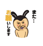 うさぎのマロン【敬語】（個別スタンプ：5）