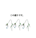 自然あふれるゆるい敬語スタンプ（個別スタンプ：24）