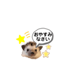 HAPPYハリネズミのピース No.1（個別スタンプ：14）