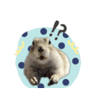 fluffies0604-1（個別スタンプ：4）