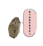 fluffies0604-1（個別スタンプ：6）