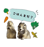 fluffies0604-1（個別スタンプ：7）