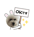 ビッケ＆ポッケ＆ポロン①（個別スタンプ：7）
