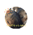 たいちはづき（個別スタンプ：24）